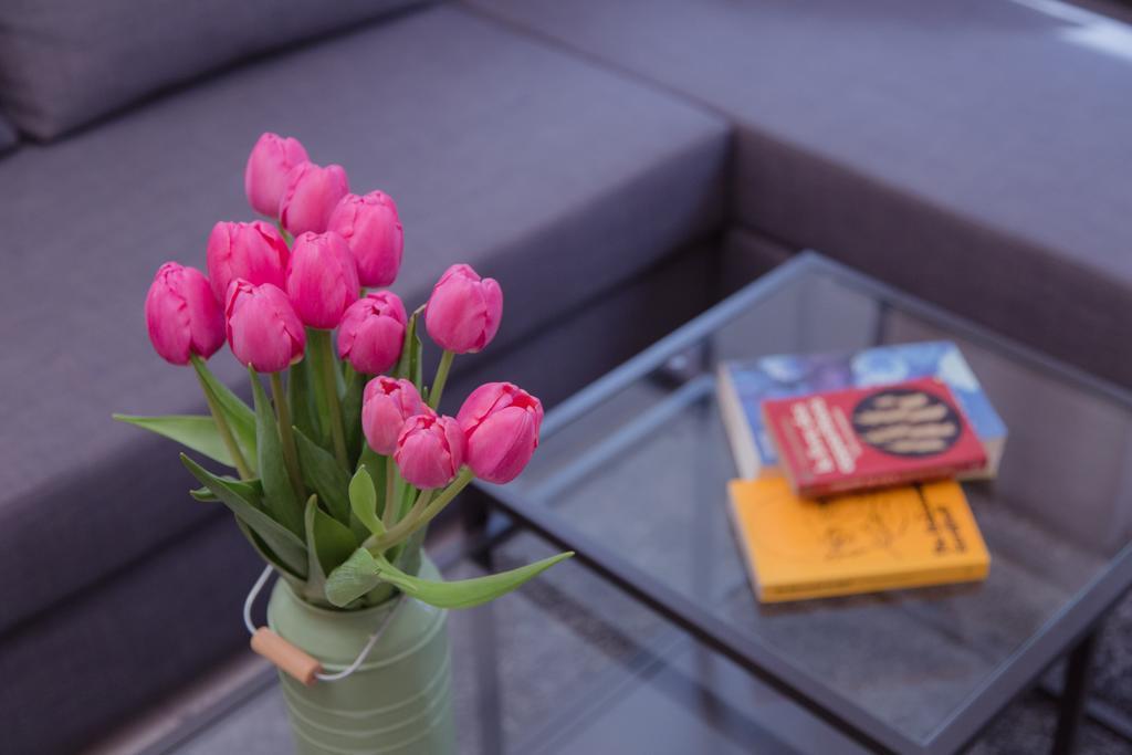 Apartment Shenkin Vilmar Tel Aviv